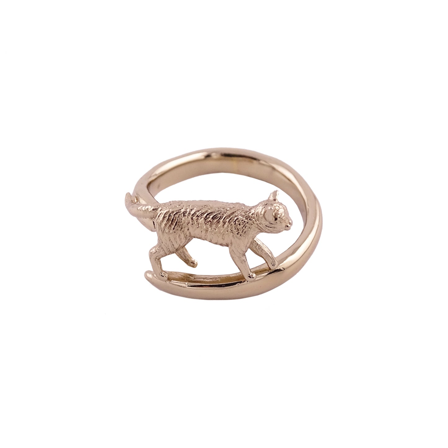 Anello gatto regolabile