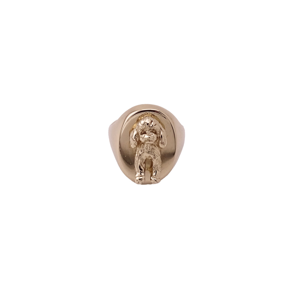095 Anello chevalier barboncino big