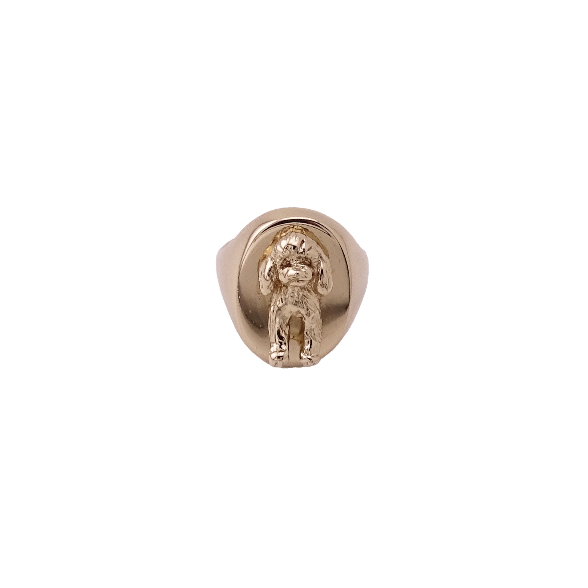 095 Anello chevalier barboncino big